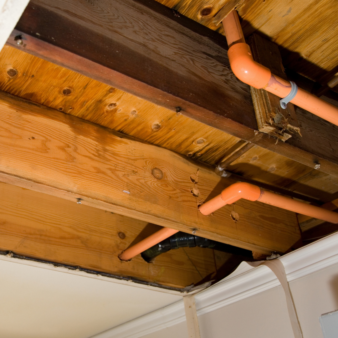 water damage in basement ceiling above pipes