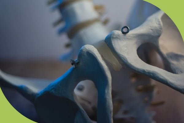 pelvicimg2.jpg