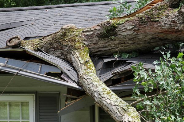 Storm roof damage.