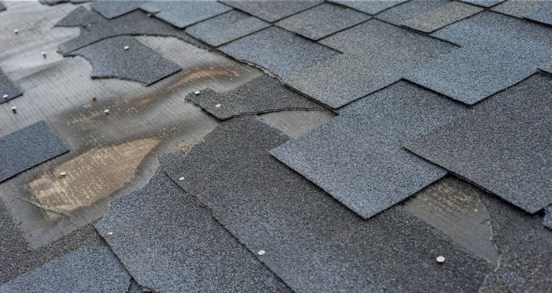 damaged shingles