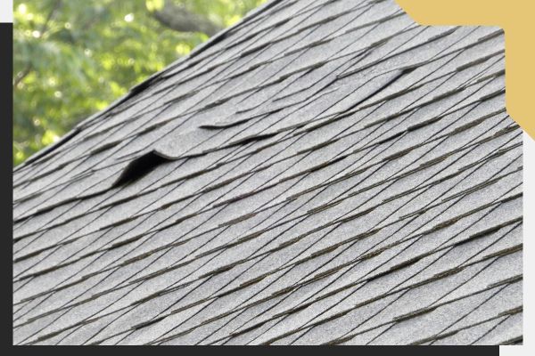 damaged shingles