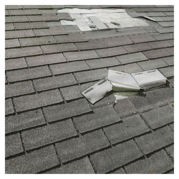 damaged shingles