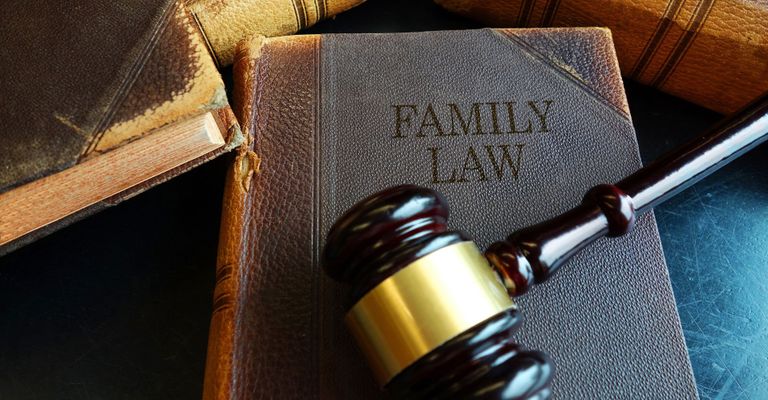 Family law book