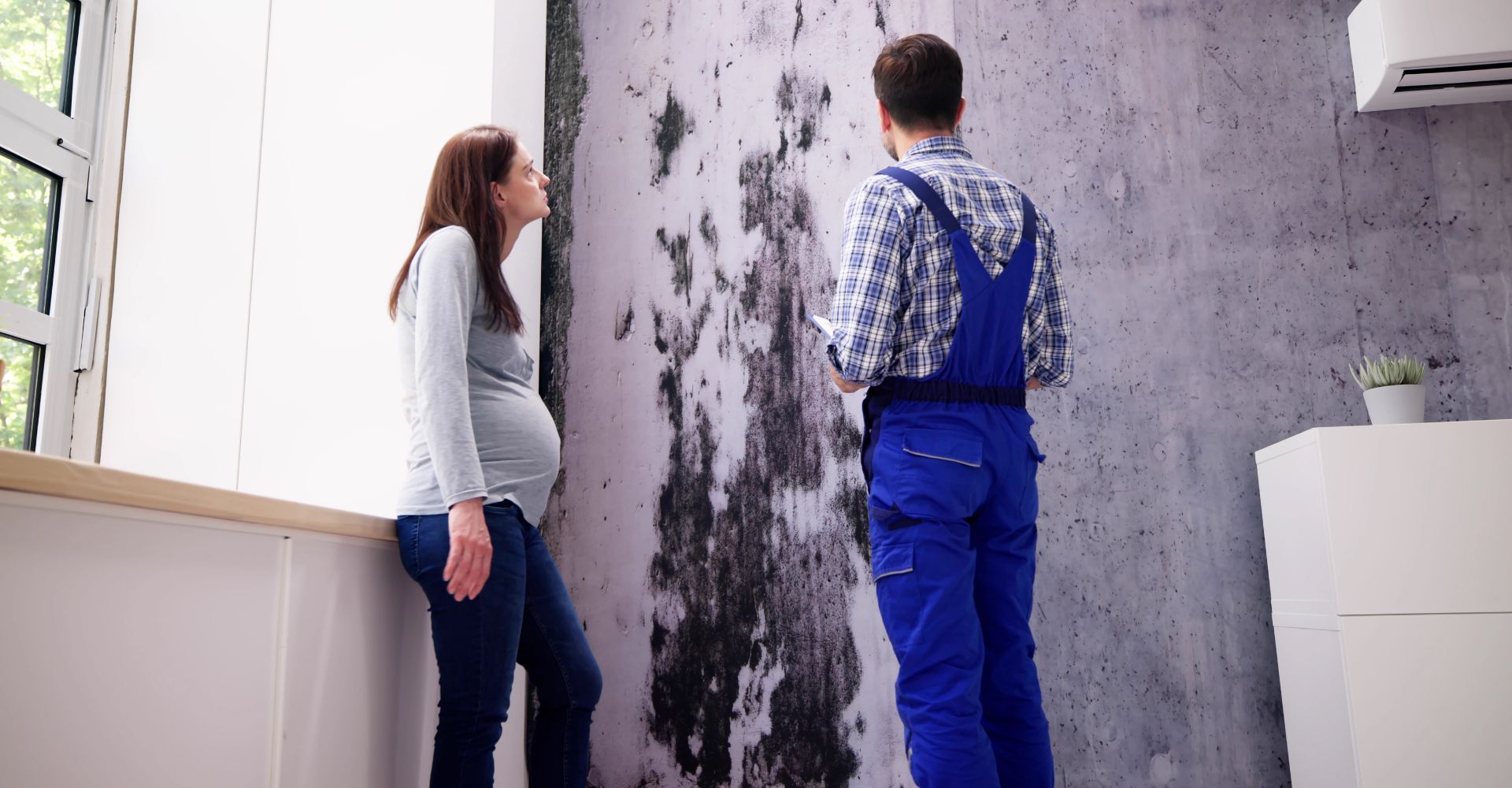 home owner and mold remediation specialist examining mold on walls