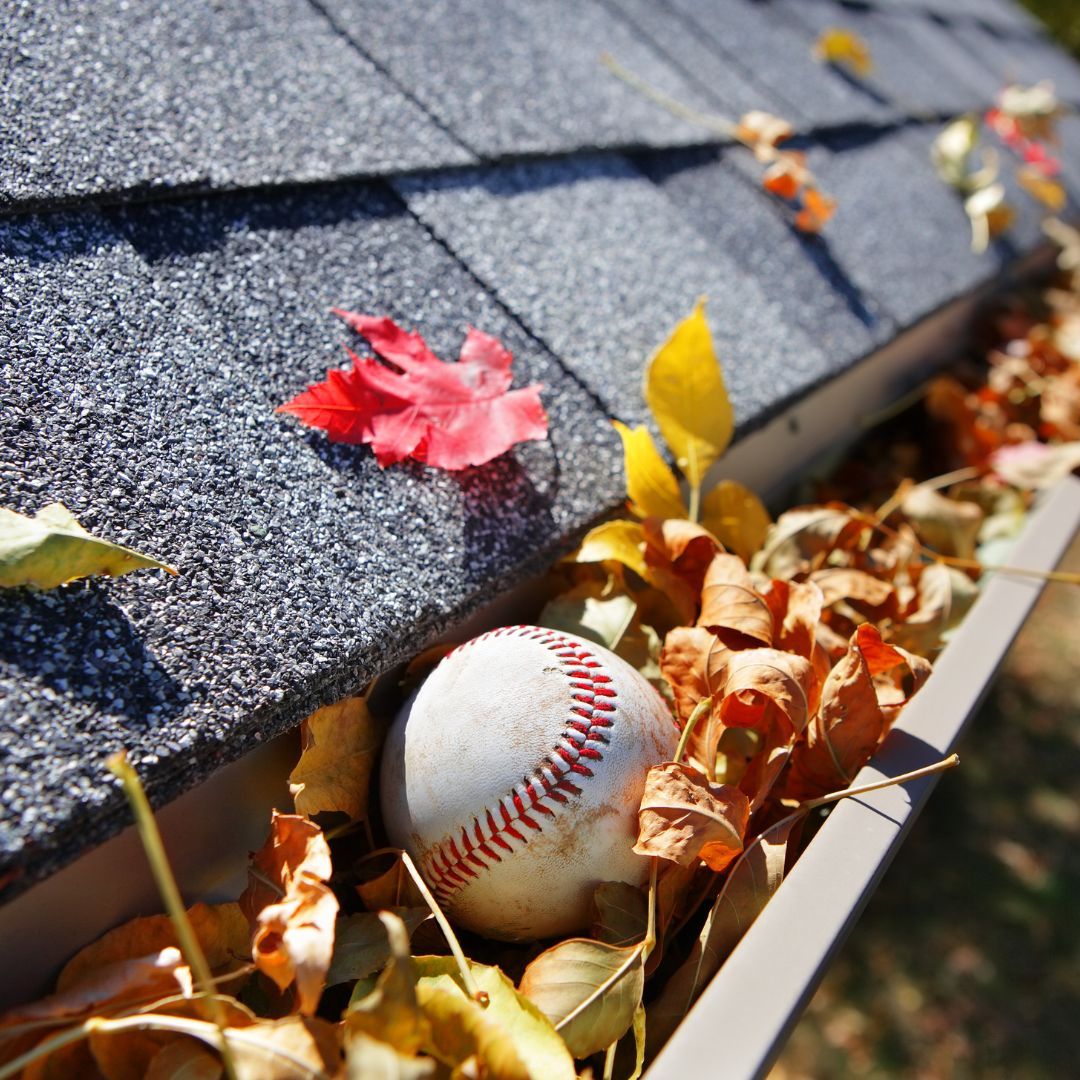 Baseball and leaves in a gutter
