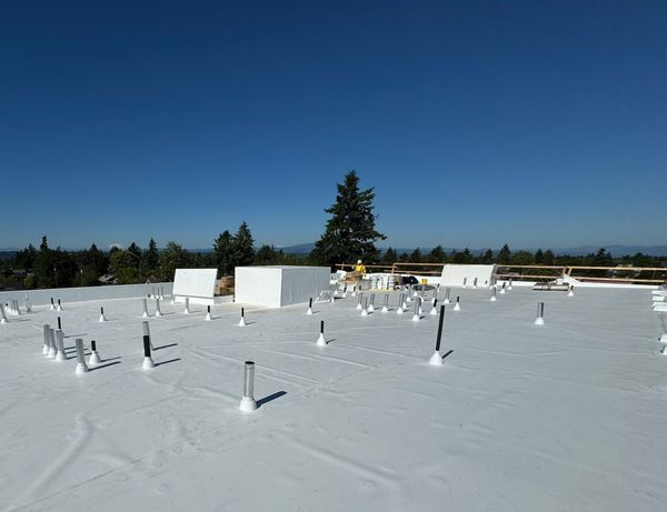commercial roof