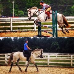 The first of its kind