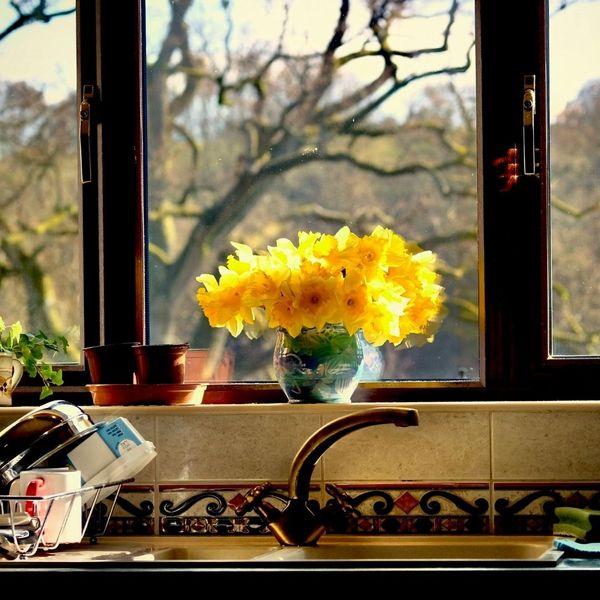 spring view through kitchen window