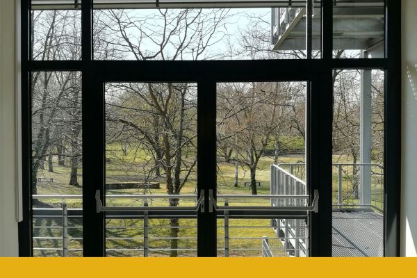 Large glass windows and door