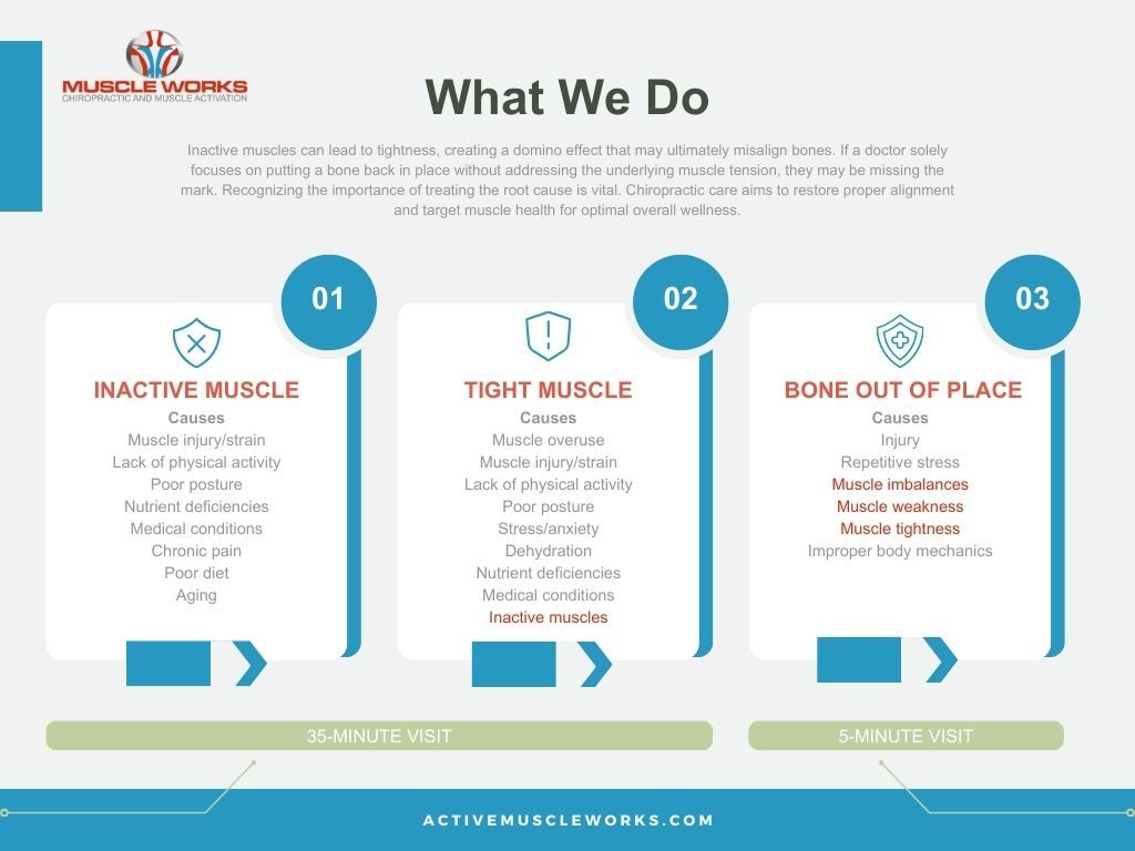 What We Do infographic