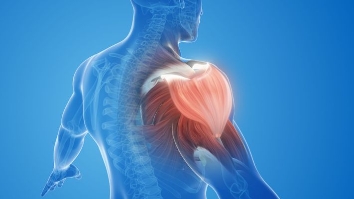 Understanding the Benefits of Myofascial Release for Chronic Muscle Tension and Pain - Hero.jpg