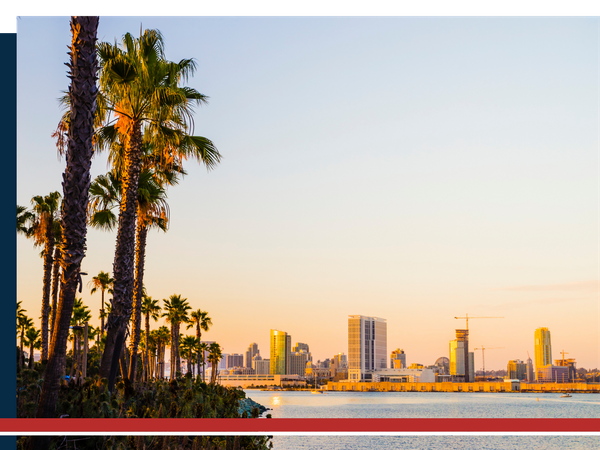 Palm trees in San Diego