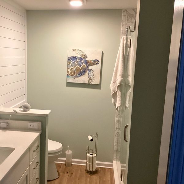 paint color in bathroom