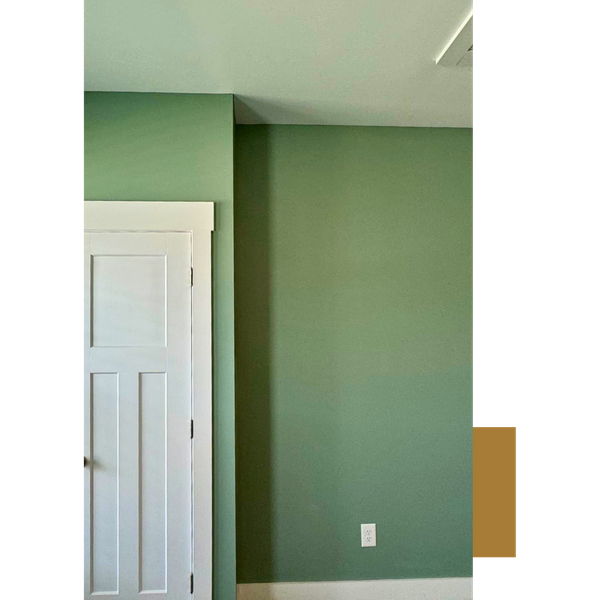Residential Interior Painting