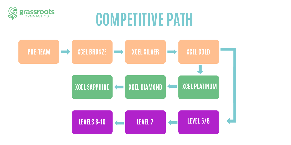 Competitive Team Program Flow Chart.png