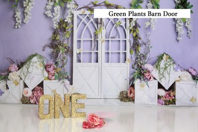 summer green plants barn door cake smash background