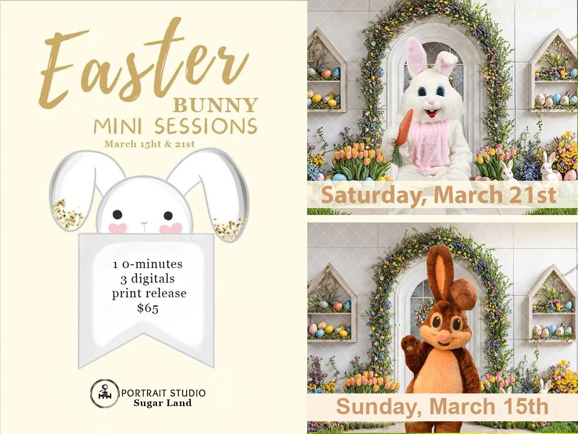Bunny_2026 (2).jpg
