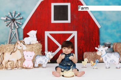 Farm cake smash background
