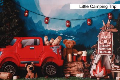 little camping trip cake smash background