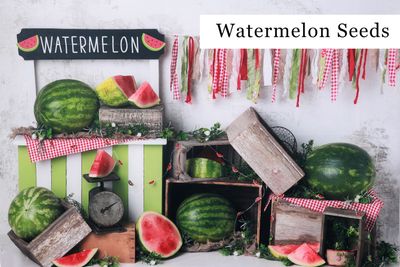 Watermelon Seeds cake smash background