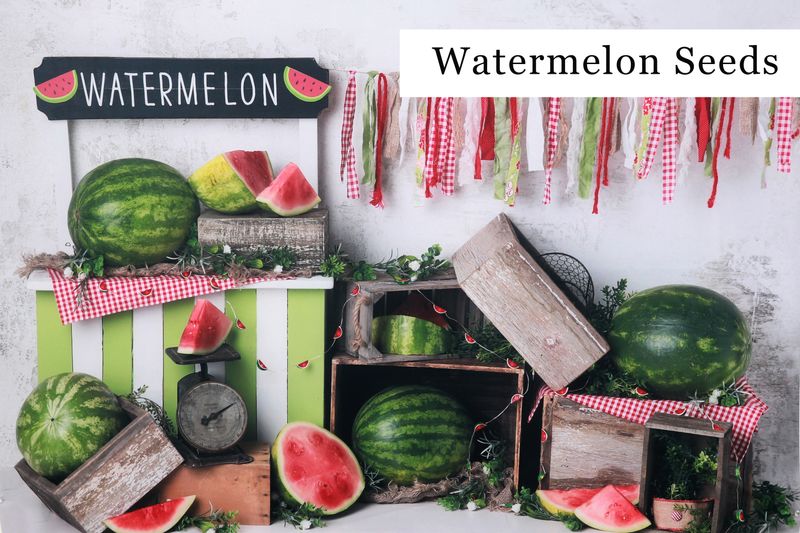 Watermelon Seeds background
