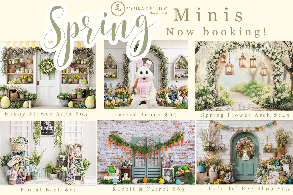 Spring 2026 Board Suagr Land.jpg