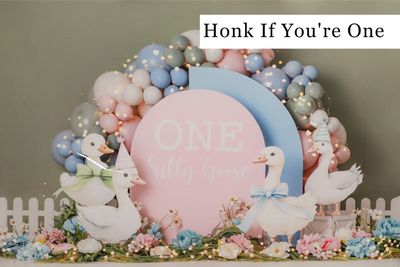 Honk If You're One cake smash background