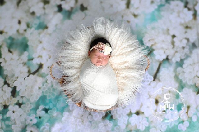 Newborn portrait at MTW Portrait Studio