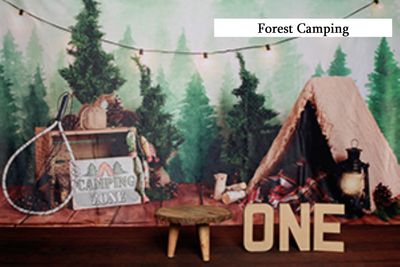 forest camping cake smash background