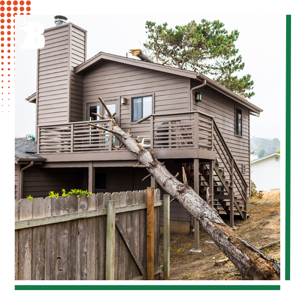 Residential-img4.png