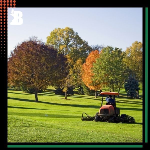 a variety of trees Tree Pruning (4).jpg
