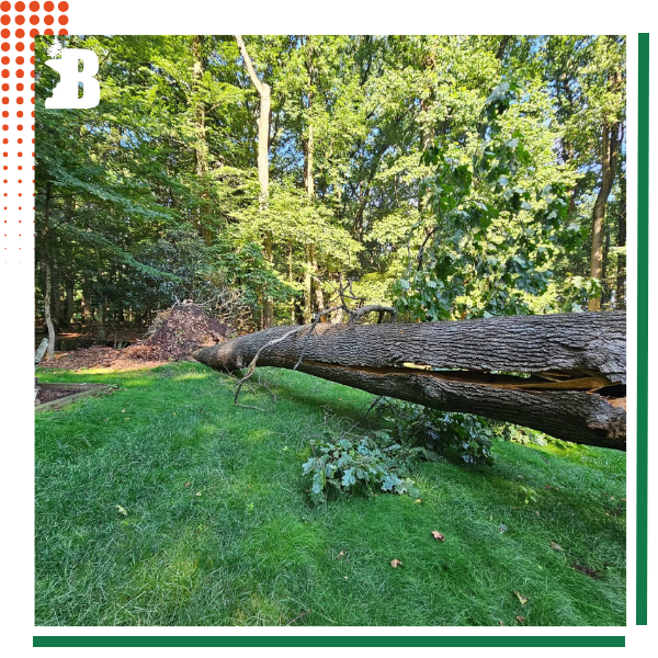 Exeter Township 3.png
