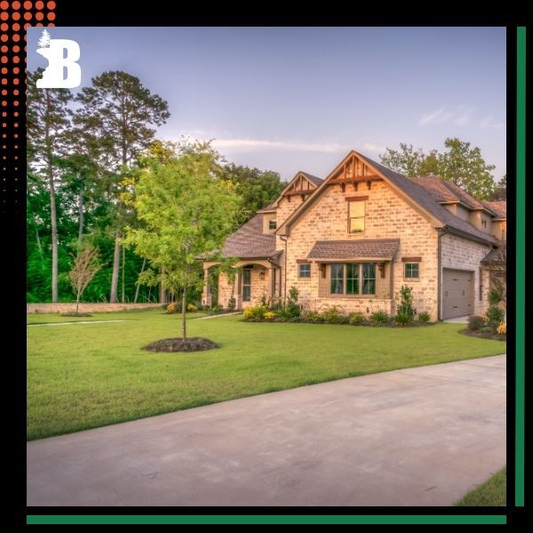 a home surrounded by trees Tree Pruning (2).jpg