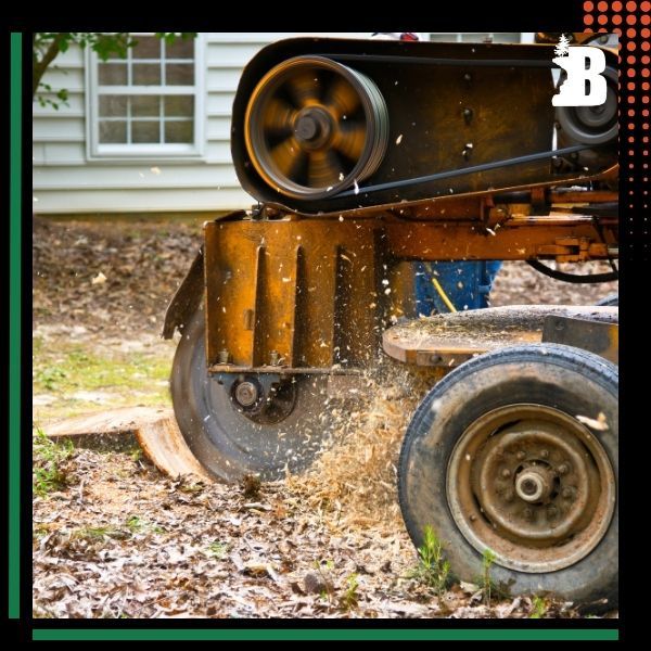 a stump grinding machine Stump Removal (3).jpg