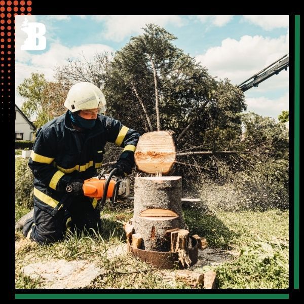 a man cutting a stump Stump Removal (4).jpg