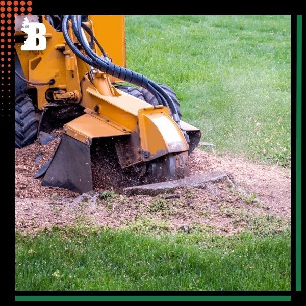 a machine grinding a stump Stump Removal (2).jpg