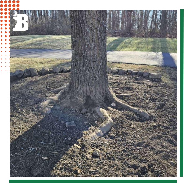 Spring Township 3.png