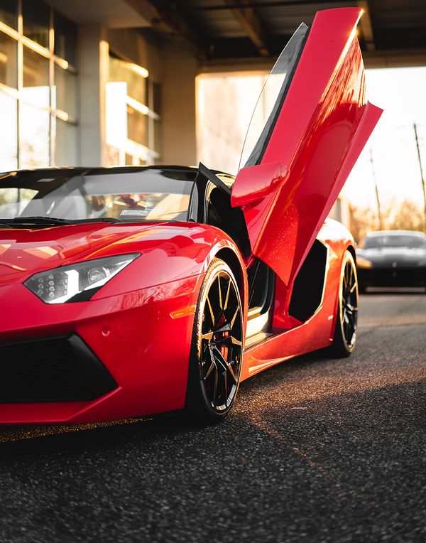 Image of a Lamborghini with its door open