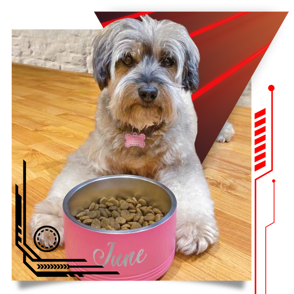 personalized laser-cut dog bowl