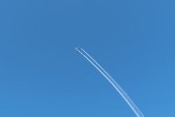 DSC02906.jpg