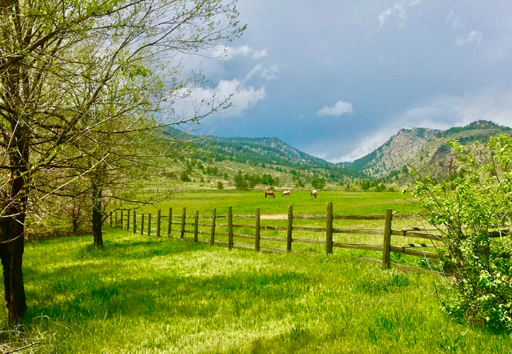 Sylvan Dale Ranch - Spring 2020 - Photo Mary Scott.jpeg