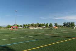 DSC02772.jpg