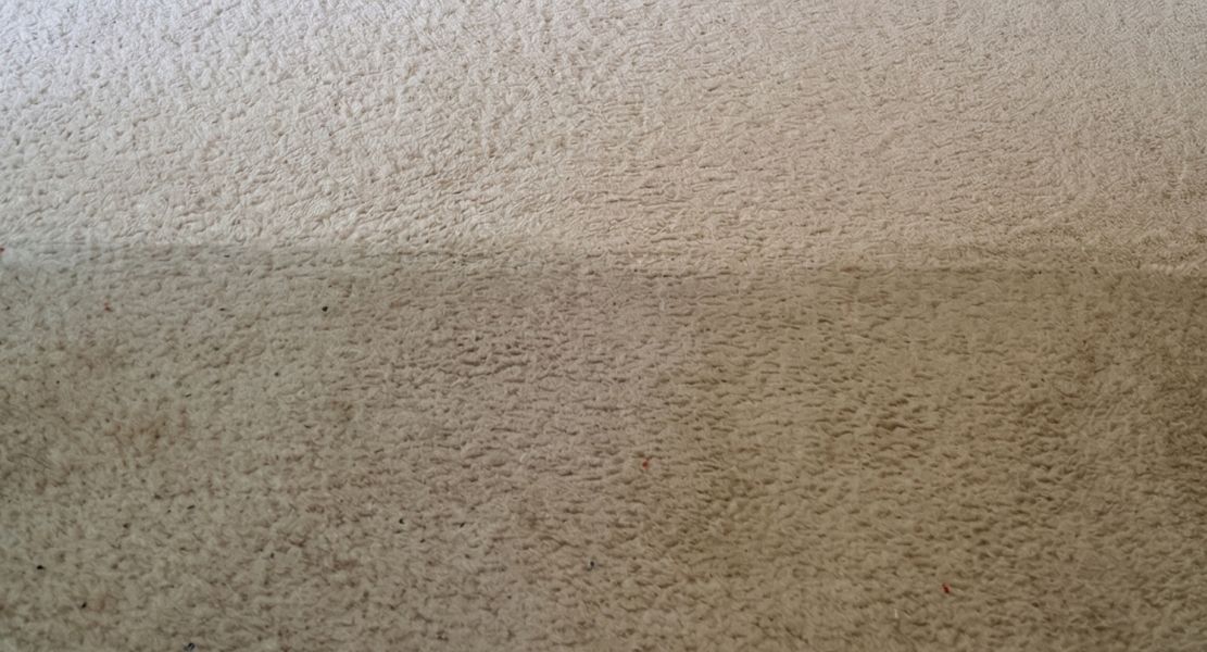 Top-half clean carpet vs dirty carpet bottom-half
