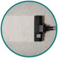 Carpet Cleaning