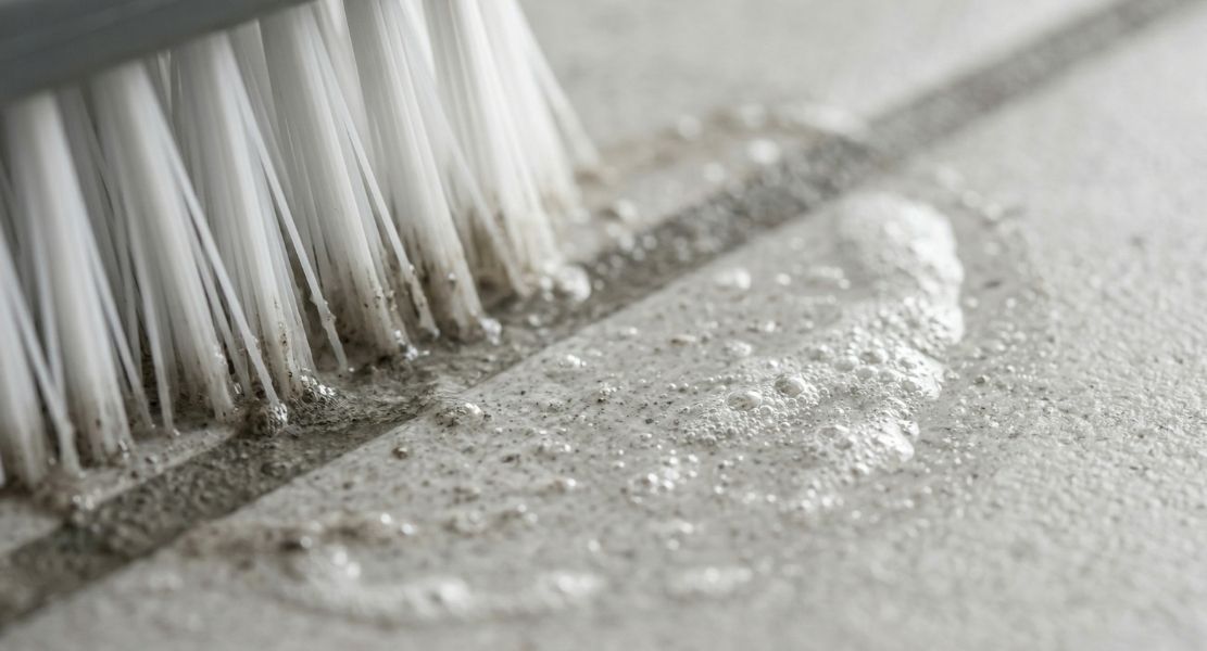 Close-up of a scrub cleaning tile floor