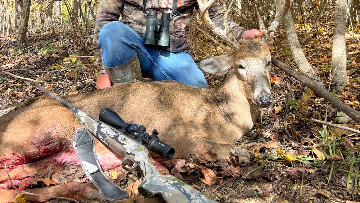 WhenMoveYourTreeStand-Hero.jpg