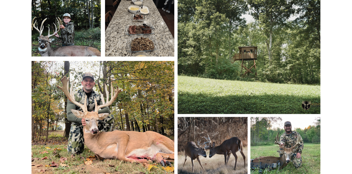 collage of the experience