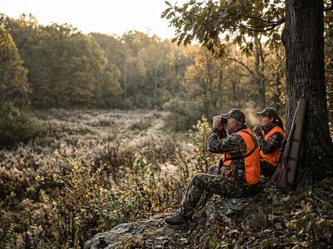 Couple Observing Nature in Forest with Binoculars