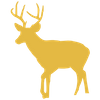 A solid, yellow icon of a young buck deer walking