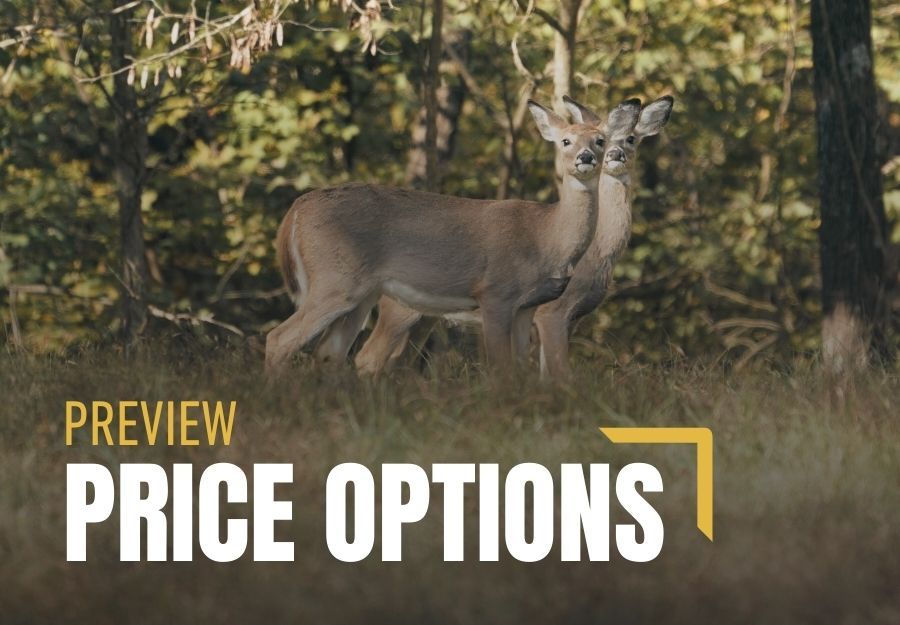 preview price options